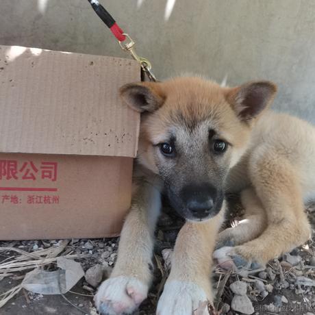 乃琳正宫大老婆于2022-12-07 13:02发布的图片