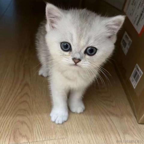 不爱吃小面于2023-05-17 10:06发布的图片