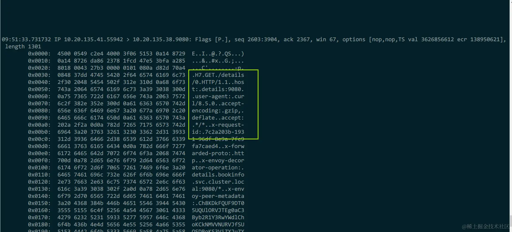 image-20231226225410601
