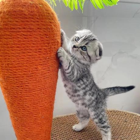 扬帆_起航L于2022-12-13 09:41发布的图片