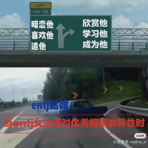 拉布拉多_于2023-05-30 10:25发布的图片