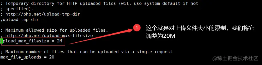 image-20220213005626672