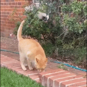 Daniel_01于2022-07-30 09:40发布的图片