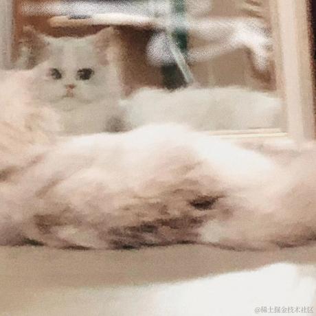 众里寻她千百度于2023-08-09 09:51发布的图片