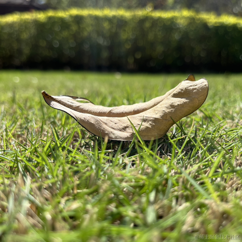 神奇的程序员于2021-11-25 12:49发布的图片