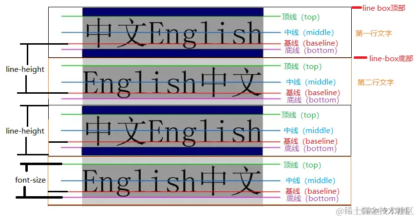 顶线中线基线底线行盒等概念