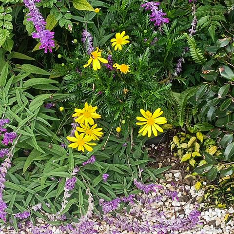 onetwo于2022-11-21 14:02发布的图片