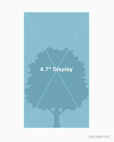 在 4.7 英寸 iPhone 上全屏显示的树图像图。 树图像是全尺寸。