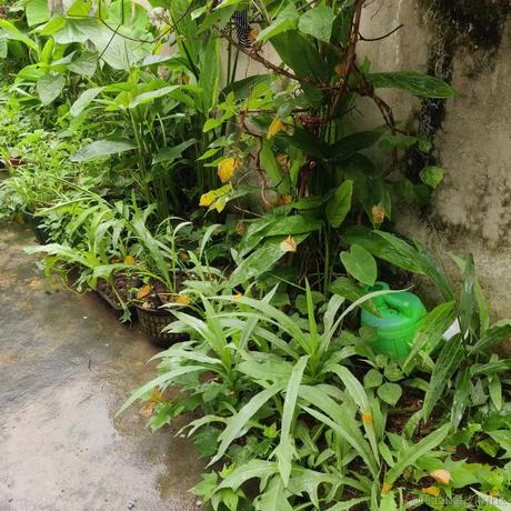 向晚大猪猪于2023-06-24 09:43发布的图片