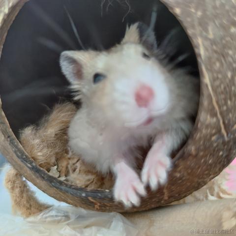 albri于2022-11-24 19:21发布的图片