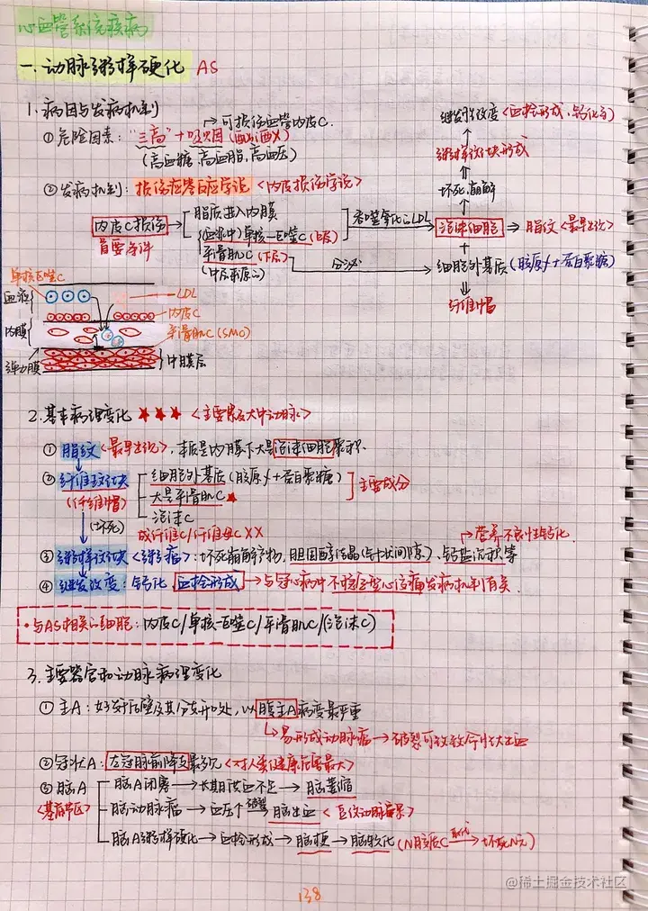 病理手写笔记.pdf