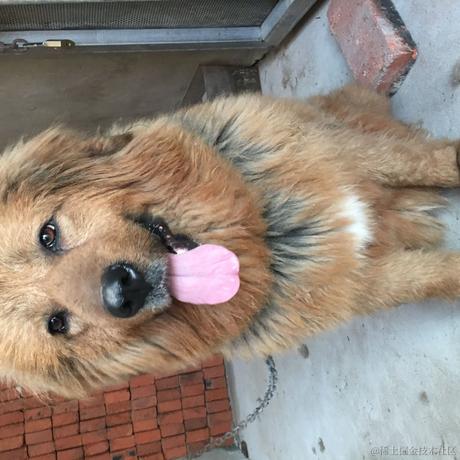 来自艾欧尼亚的最强王者于2021-12-26 17:40发布的图片