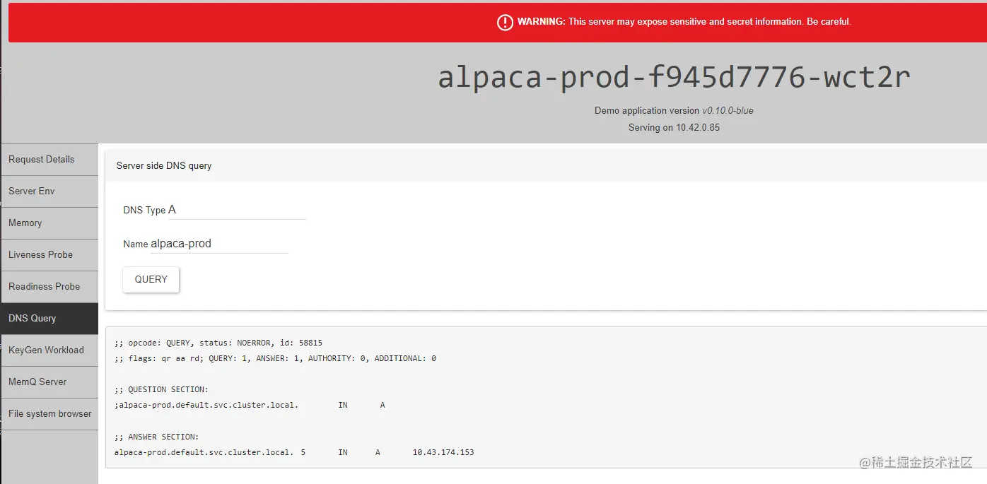 Kuard Server side DNS query 