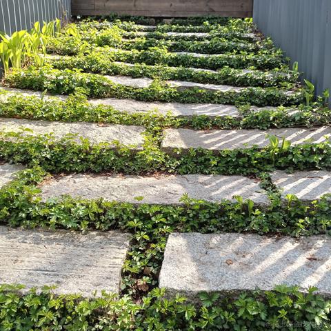 正兴于2023-05-05 07:53发布的图片