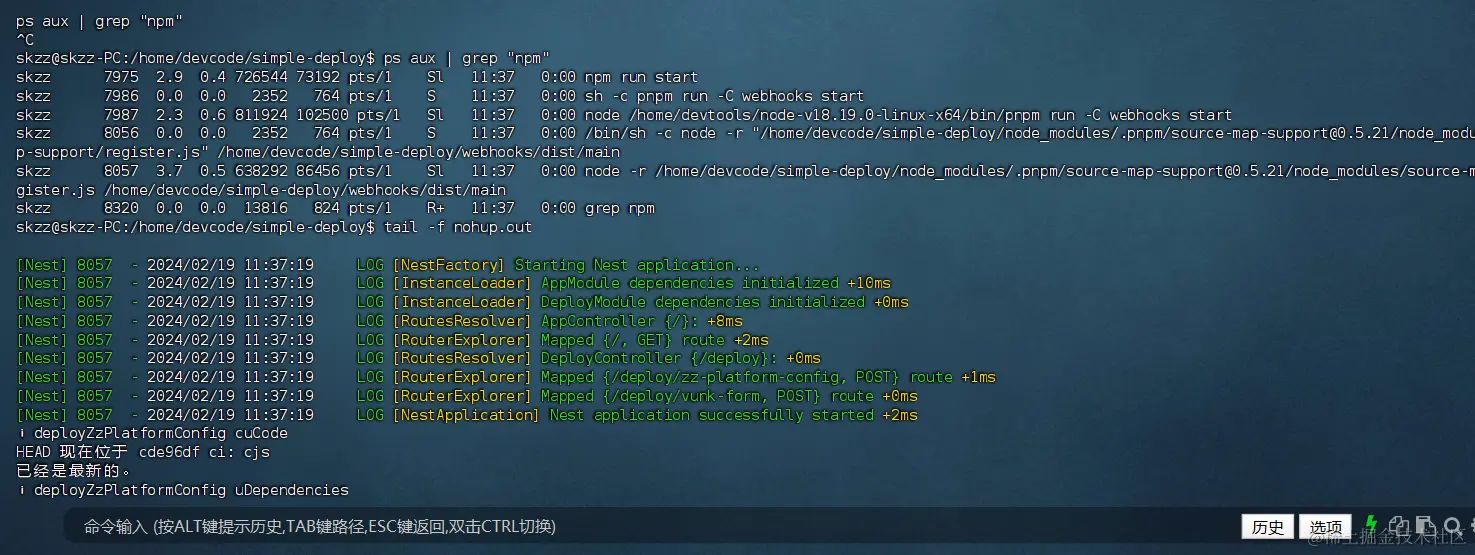 image-20240219114404283.png