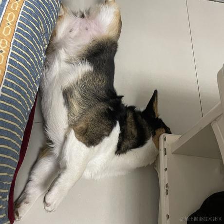 YTt于2023-05-10 11:31发布的图片