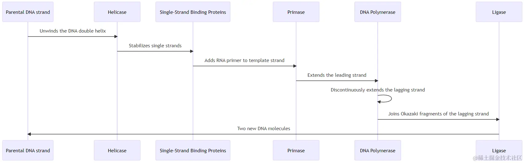 generated diagram of dna replication with chatgpt plugin show me diagrams