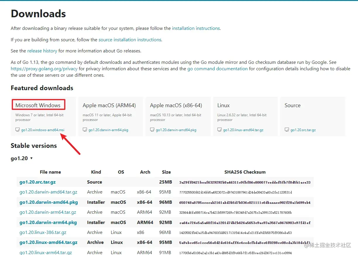 image-20230208132835280