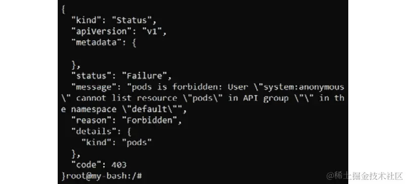 图 4.56：匿名请求 API 服务器