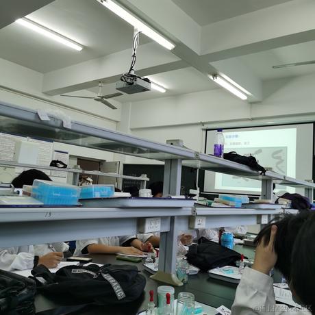 贝拉的前世恋人于2022-11-25 07:52发布的图片