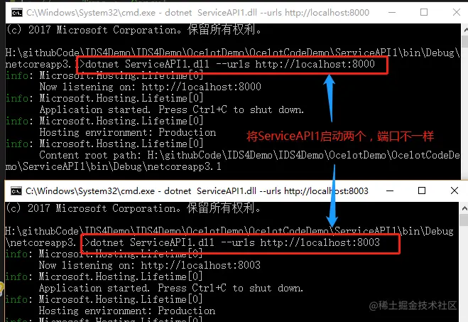 image-20210403221010139