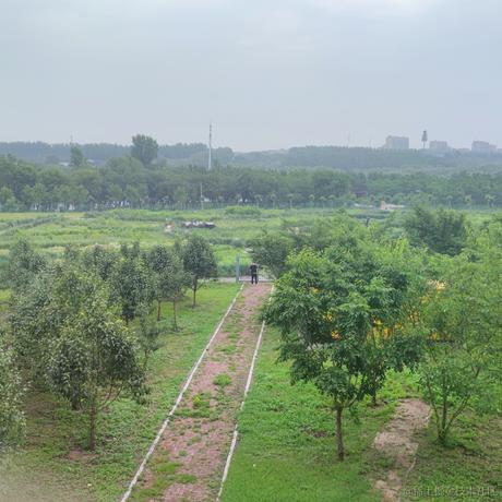 用户5228228036051于2023-06-29 08:46发布的图片