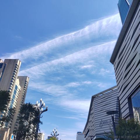 不及格大学士于2023-11-02 13:17发布的图片
