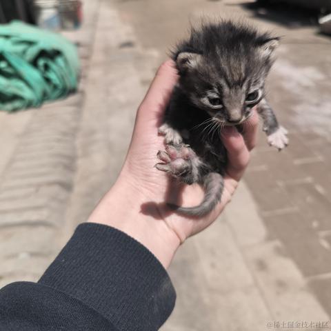 Phantom460于2023-04-30 13:30发布的图片