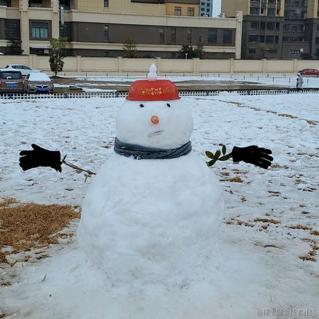 贝拉爱吃辣于2022-11-29 09:50发布的图片