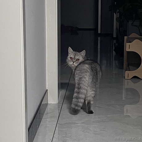 进阶的小叮当于2023-05-21 22:05发布的图片