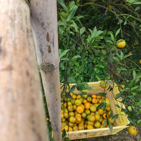 小乃琳bot于2022-12-06 16:47发布的图片