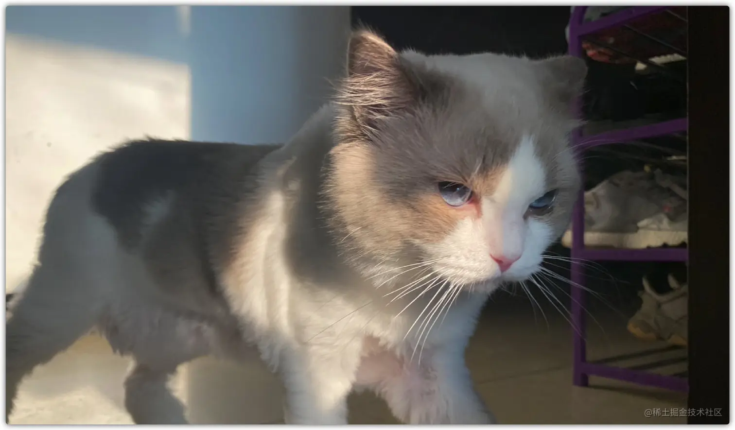 image-20210815173654573