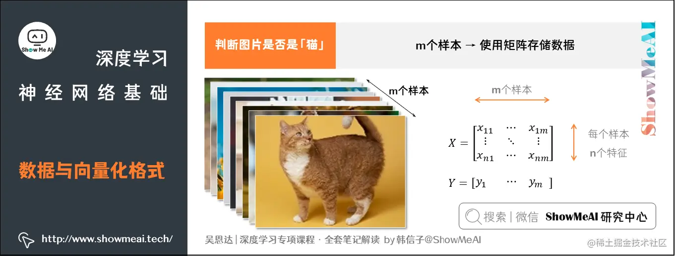 数据与向量化格式