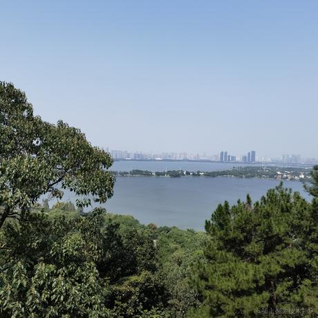 聪明勇敢贝极星于2022-11-30 00:45发布的图片