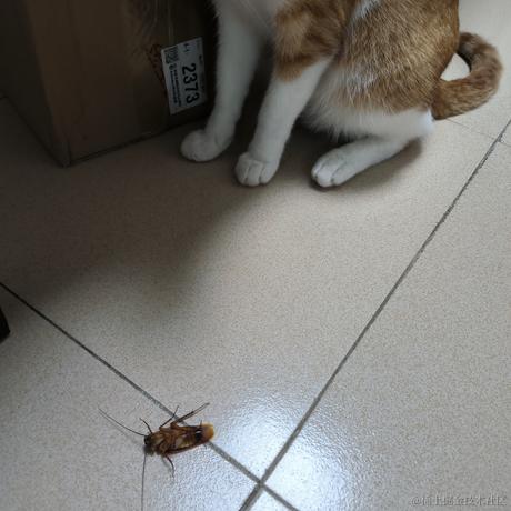 Time_leapt于2023-06-13 09:47发布的图片