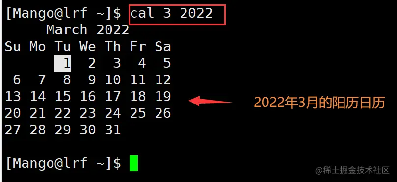 image-20220301191248600
