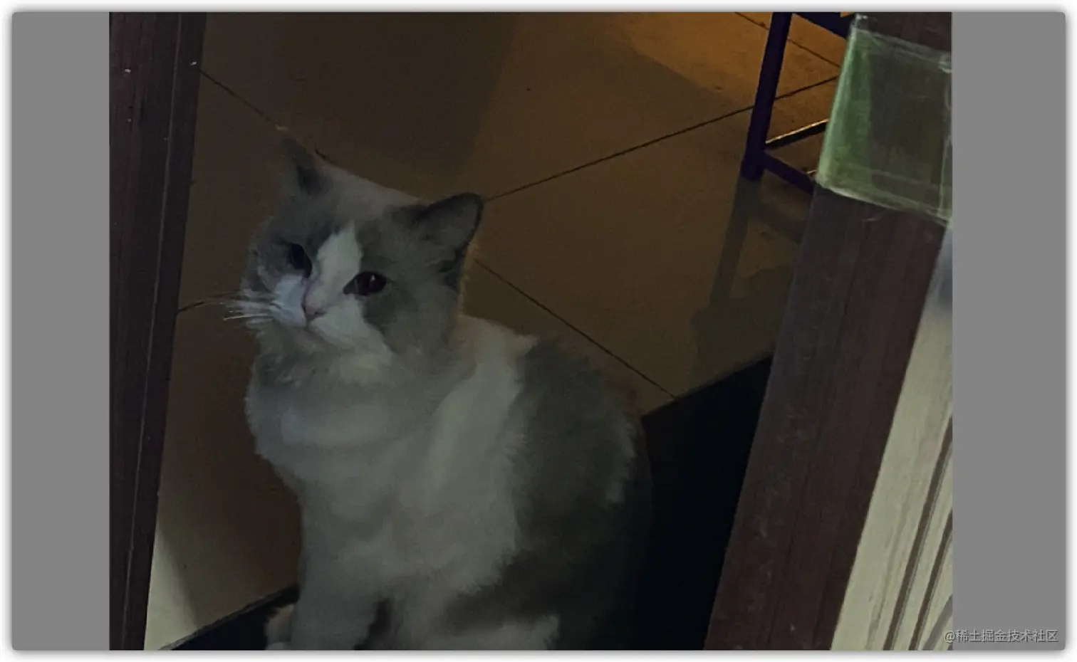 image-20210815173553135