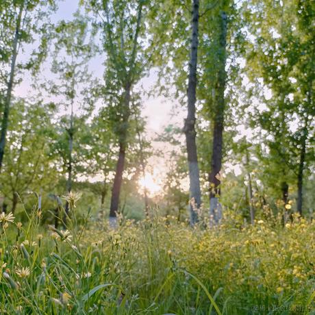 倾言asuka于2023-06-21 19:32发布的图片