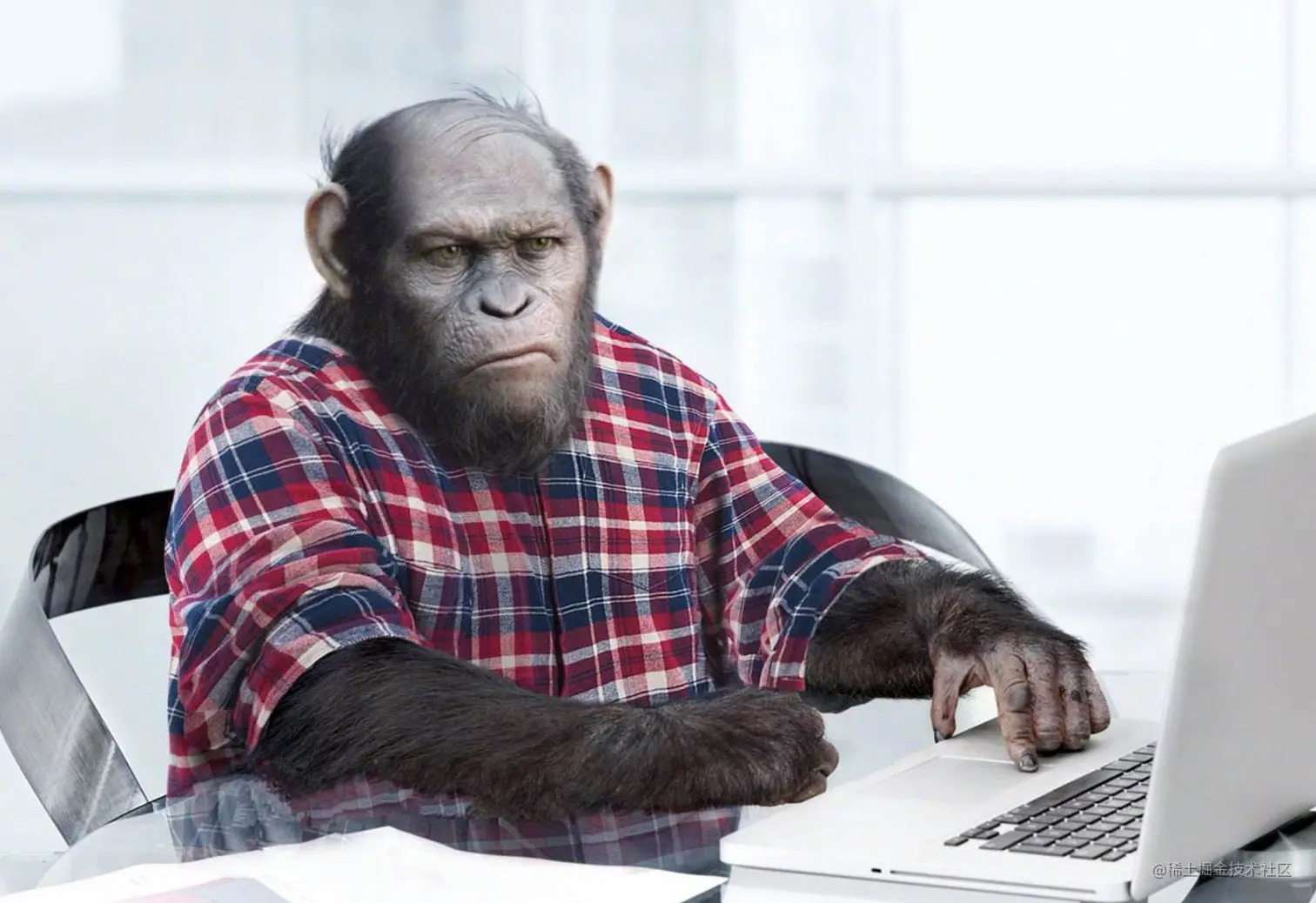 想象中的程序猿