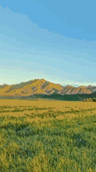 Jietu20210527-113413-HD.gif