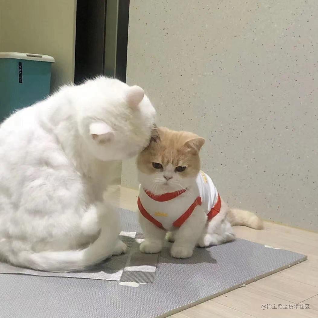 前端小知识