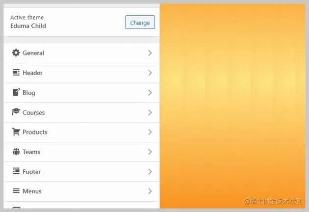 WordPress Premium Theme Customizer