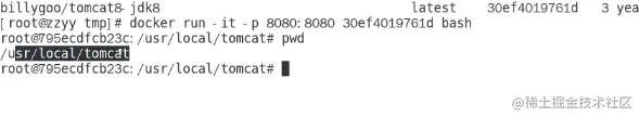 image-20221103170424773