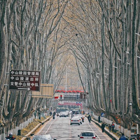 红毛丹于2022-05-28 12:30发布的图片