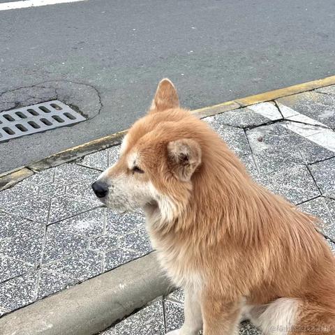 泻药本药于2022-12-15 18:06发布的图片