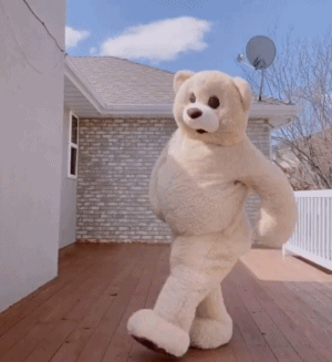 image.gif