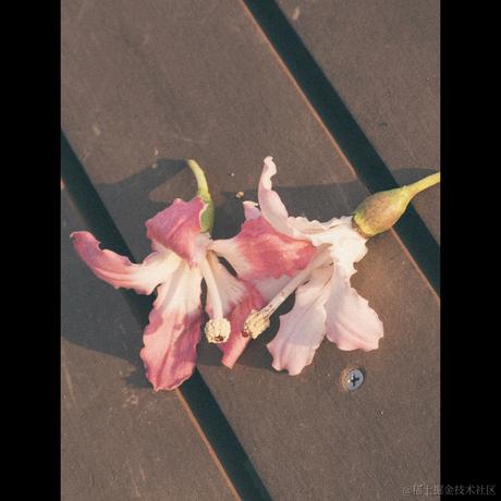 你先别急于2022-12-15 22:15发布的图片