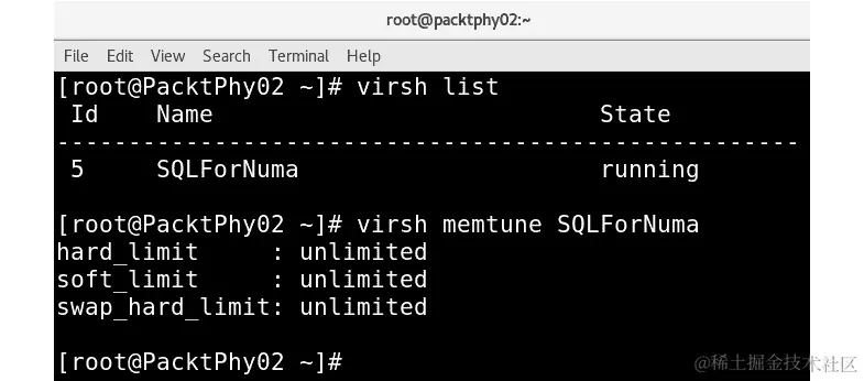 图 15.9 - 检查 VM 的 memtune 设置