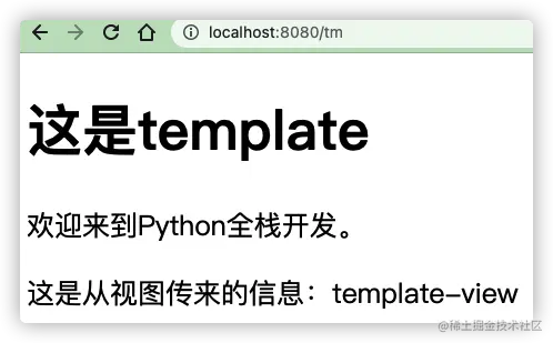 view装饰器模板渲染效果