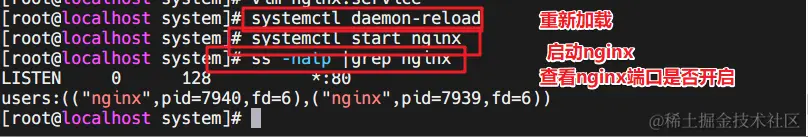 image-20220513195848062